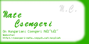 mate csengeri business card